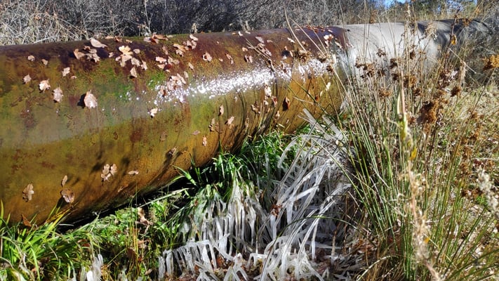 Gefrorene Gräser am Wasserrohr der Electricity Plant