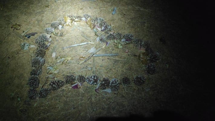 Herz unterwegs, nicht von Olli, aber trotzdem schön.