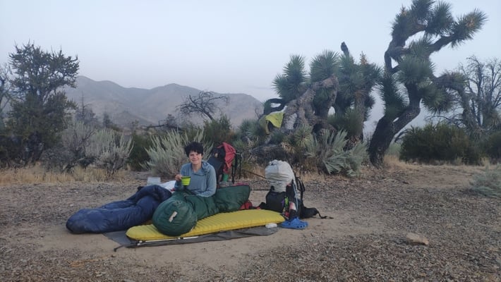 Cowboycamping am Walker Pass