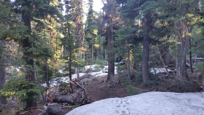 Bald ist alles weiss ...