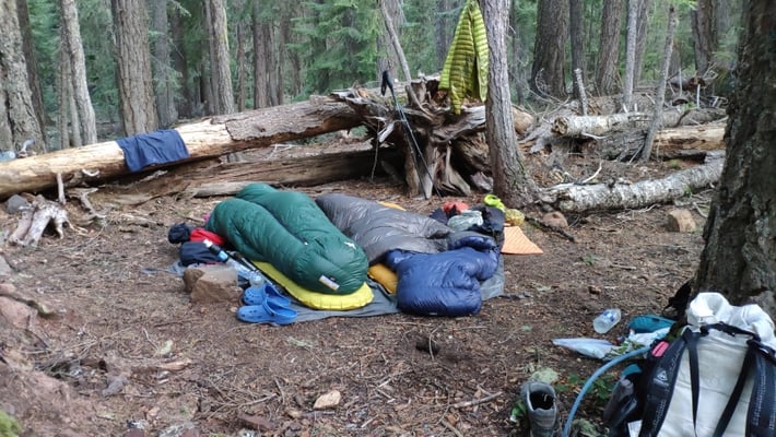 Unser 5-Sterne-Übernachtungsplatz im Wald