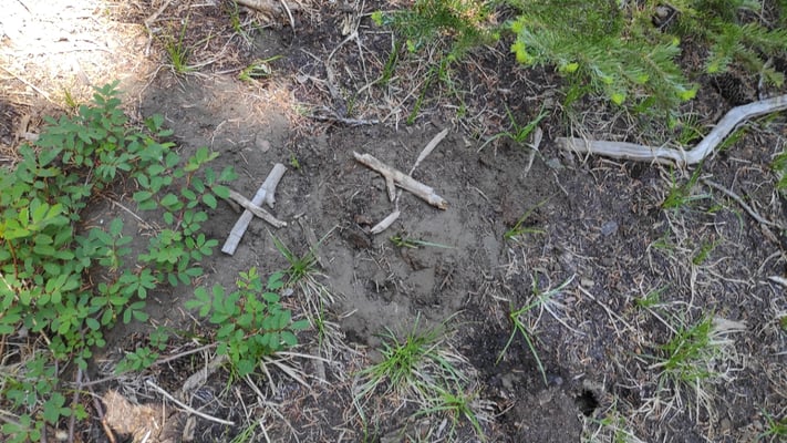 Mit aus Zweigen gelegten "X"-en markiert Sabine die Stellen, wo sie ihren "Human Waste" vergraben hat ;-)