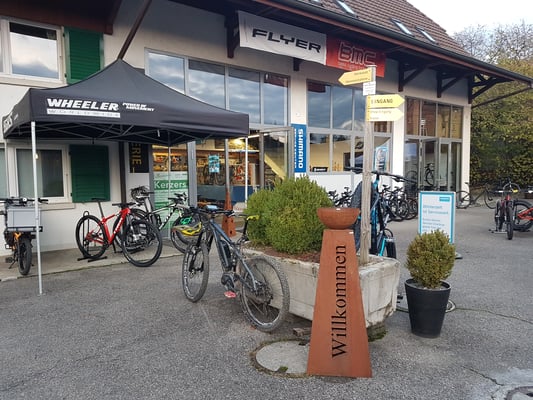 Herbstausstellung 24.11.2019