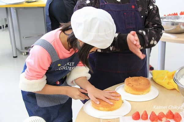 スポンジカット