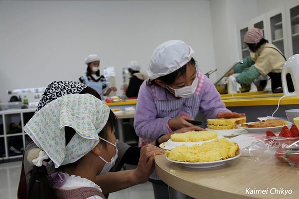 スポンジカット