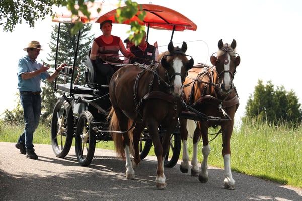 An der Diplomprüfung mit D. Rotzetter auf dem Kutschbock