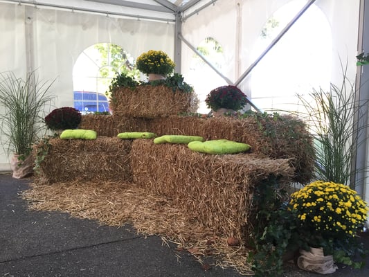 Feste by Partyzeltthun