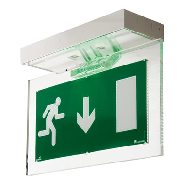 Électricité générale : Le BAES (bloc autonome d'éclairage sécurité) peut avoir des fonctions différentes selon le type d'établissement. .