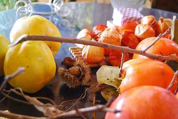 季節の移ろいを感じていただけるよう努めております