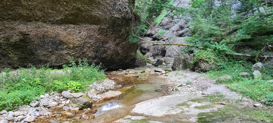 Goldwaschen im Napfgebiet