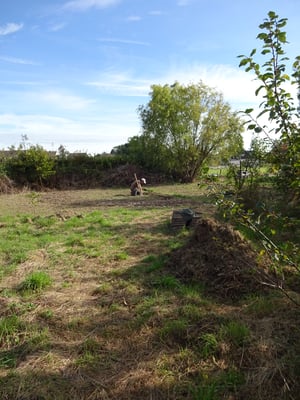 Nach dem Mähen und Fräsen ist der Acker pflanzbereit