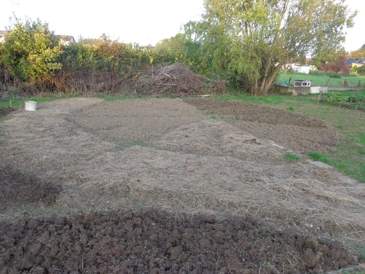 Wir lieben runde Beete....