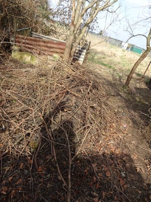 Gutes Mulchmaterial, bloß nicht zum Biomüll geben!