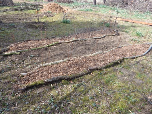 Naturnahes Gärtnern, indem man das Verwendet was im Garten eh gewachsen ist
