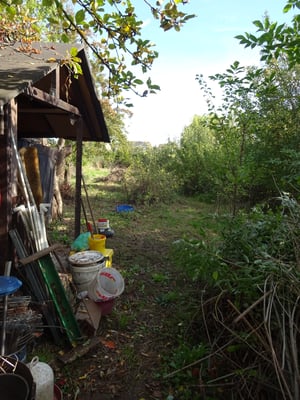 Der wilde Wein und wilde Zwetschgen wurden entfernt - es wird langsam ein Nutzgarten