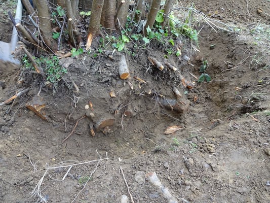 Arbeitszeit: 5-8 Stunden je nach Stammumfang