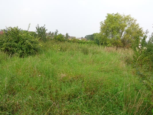 das war mal die Anbaufläche...jetzt hohes Gras-Gras-Gras