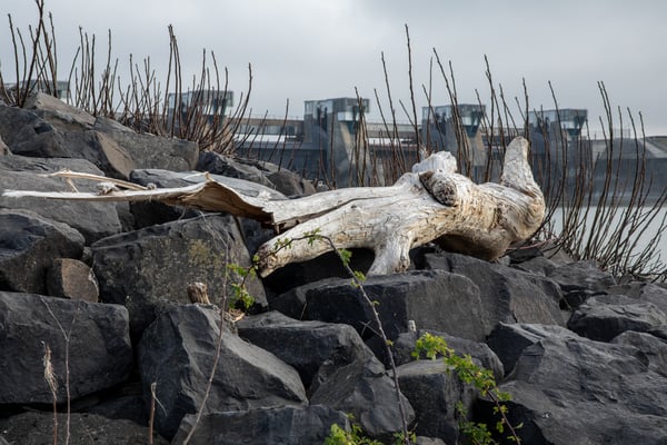 © Beatrix von Conta