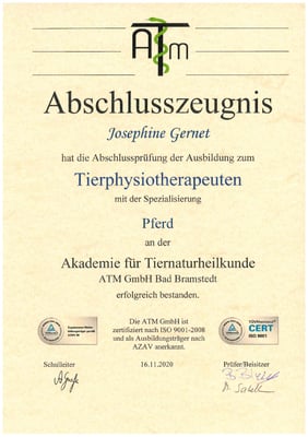Pferdephysiotherapie ATM