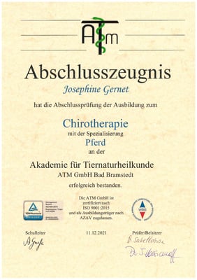 Pferdechiropraktik ATM