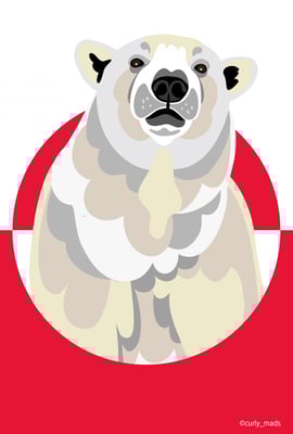 Greenland：White polar bear