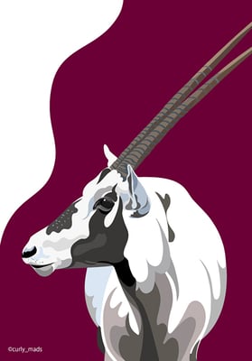 Qatar：Arabian oryx 