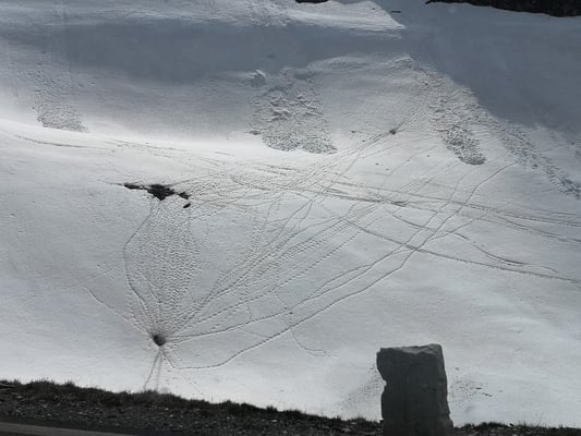 © Charel Klein - Die Murmeltiere sind bereits aktiv, wie man gut sehen kann.