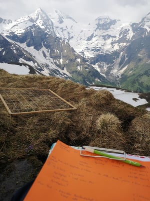 © Charel Klein - Aufnahme von Schneemenge, Insektenvorkommen und Vetegationshöhe.