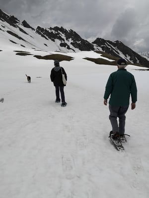© Charel Klein - Ein kleiner Ausflug auf dem Schnee mit Schneeschuhen zum Erkunden der Landschaft.