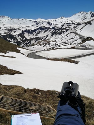 © Charel Klein - Aufnahme von Schneemenge, Insektenvorkommen und Vetegationshöhe