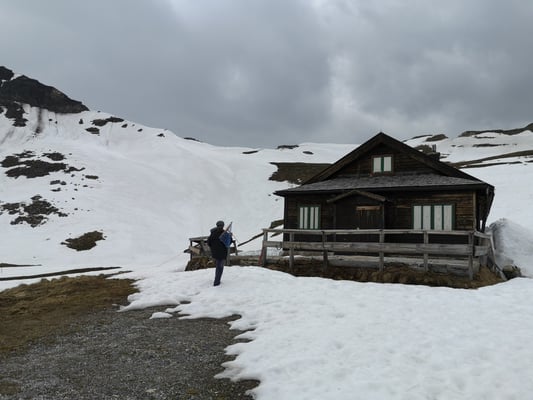© Charel Klein - Die Nistkästen sind an 12 verschiedene Gebäude entlang der Straße angebracht.