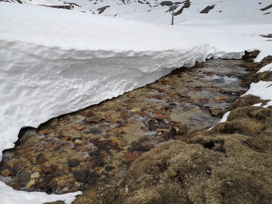 © Charel Klein - Die Schneeschmelze hat bereits begonnen, die ersten Stelle werden frei.