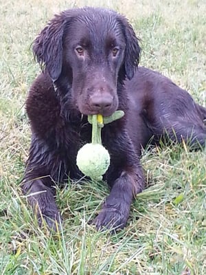 Sky (Sanibelbreeze Evening Sky)
