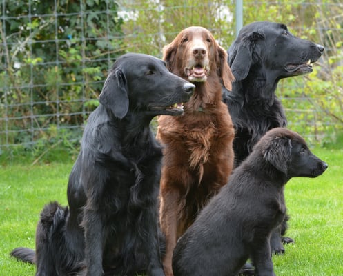 Fée Kiri Tane & Paige