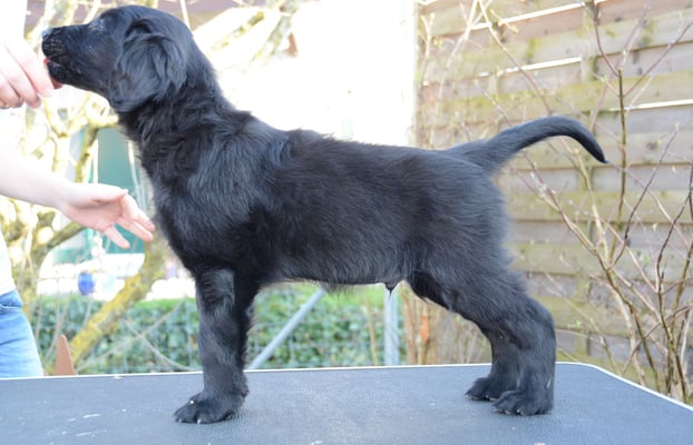 Sanibelbreeze Fly like an Eagle *Fly*