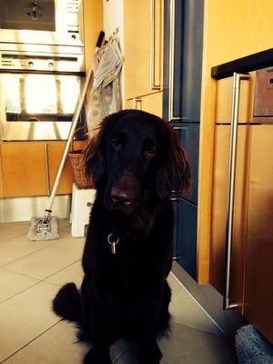 Era (Sanibelbreeze Ember Flame)