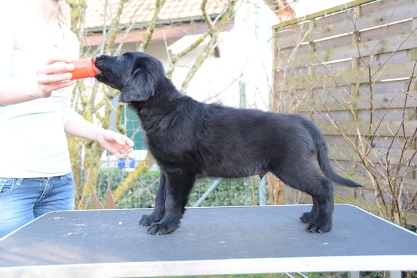 Sanibelbreeze Fire of my Heart *Floyd