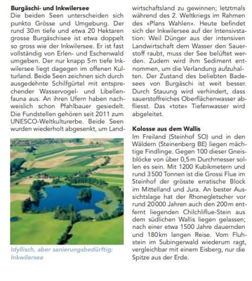 Waldwanderung Wasseramt