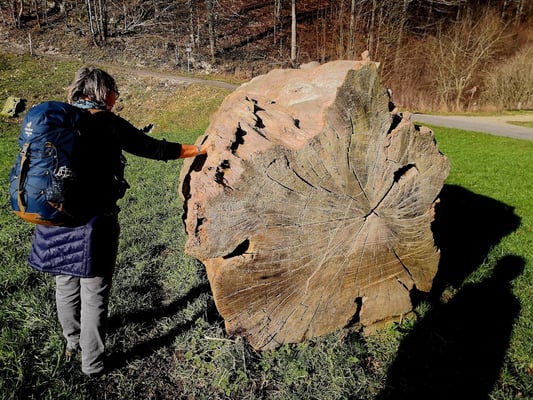 Winterwandern Jura Baselland