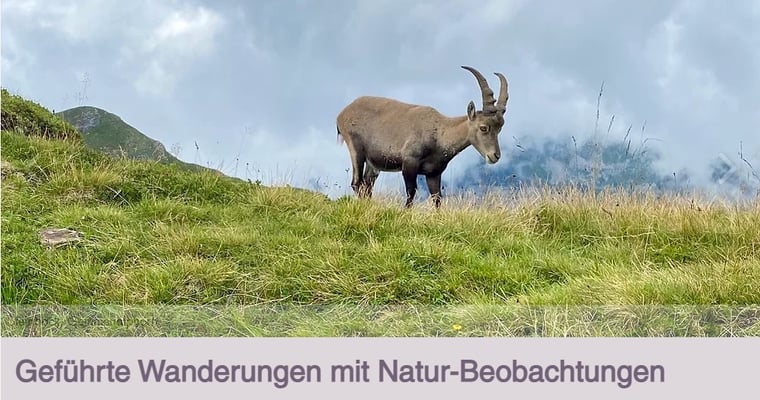 Wanderleiter Jura? Wanderleiterin und Biologin!