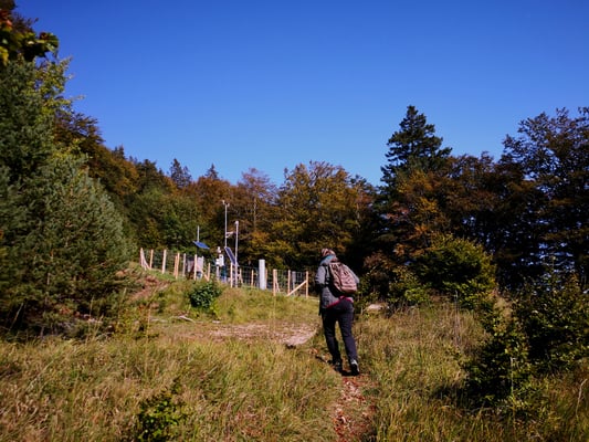 Forschungsstation der ETH - didaktische Materialien in Vorbereitung - 6 Wanderungen rund um den Bettlachstock
