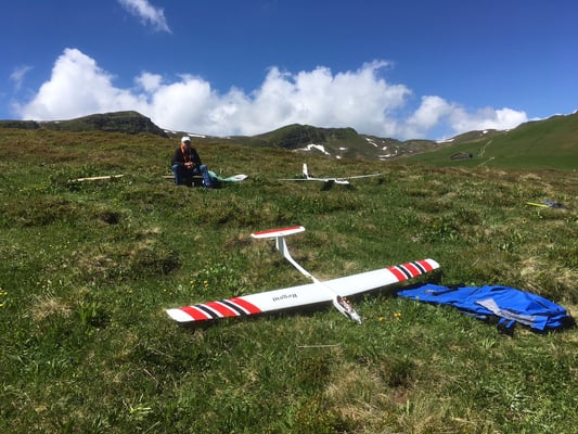 Fideriser Heuberge Juni 2018