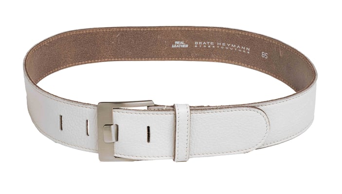 376-31 Belt