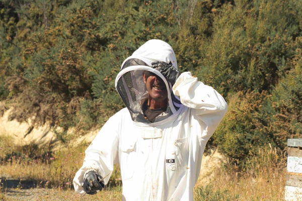 Phil l'apiculteur de Nouvelle-Zélande dans sa combinaison d'apiculteur en pleine activité d'apiculture 