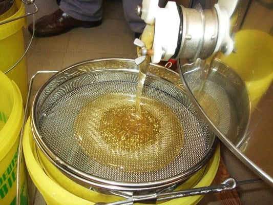 Filtration du Miel de Thym de Nouvelle-Zélande avec tamis et robinet coulant