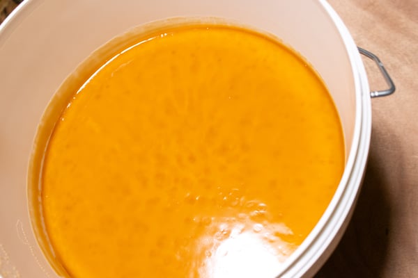 Miel de Rewarewa crémeux dans un seau de 10kg