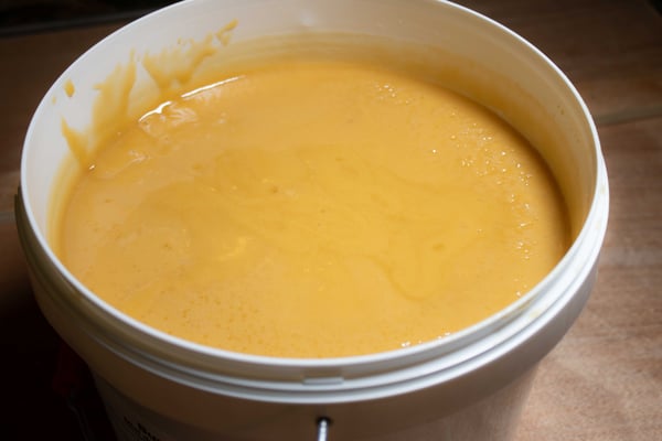 Miel de Forêt Tropicale dans un seau de 10kg