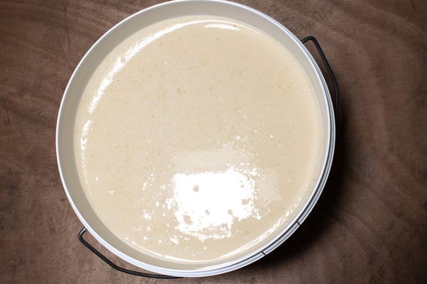 Miel de Trèfle Blanc crémeux dans un seau de 10kg