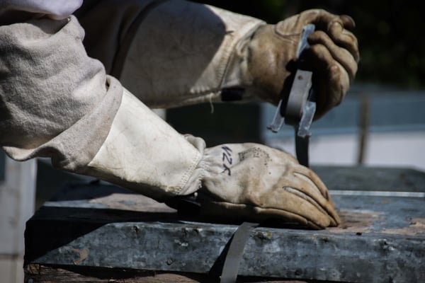 Photographie d'un apiculteur en Nouvelle-Zélande (île nord) qui sangle une ruche pour la protéger du vent
