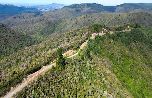 Forêt sauvage de Nouvelle-Zélande captée en drone au-dessus de Mount Allan, cœur du bush néo-zélandais (île du Sud)